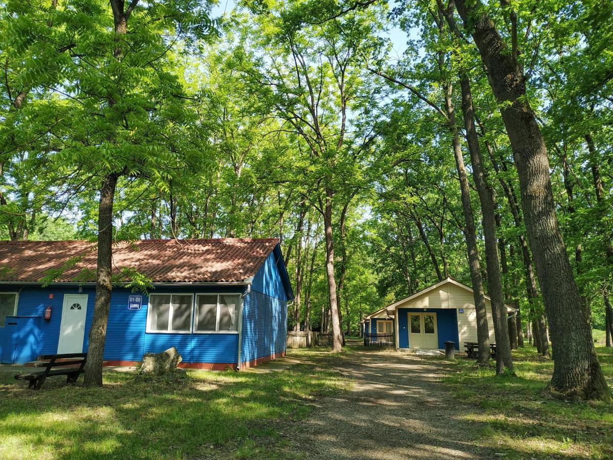 Dorcas Center&Camping Hotel Debrecen Ngoại thất bức ảnh
